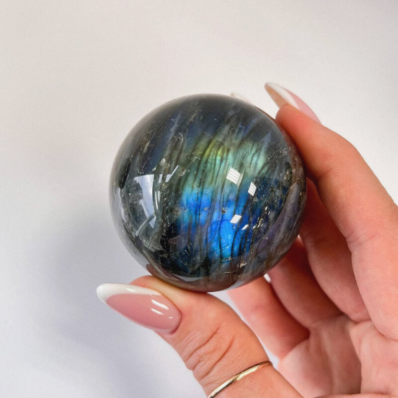 Шар из лабрадора